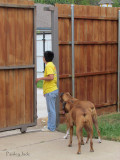 Checking things out