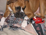 Boy and his toy 5 March 2008