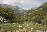 Sierra de Grazalema