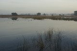 rietven