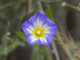 IMG_7645.jpg