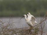 IMG_1280.jpg