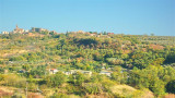 P1030667_.jpg
