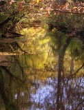 Autumn Sun Colors the River