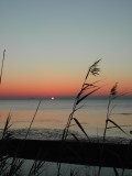 Sunrise over Trinity Bay