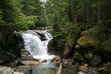 Thunder Creek Falls above Skagit Queen Camp