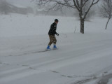 Cajun Ice Skates