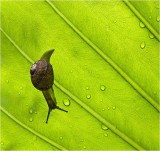 First Place - Rain - by Michael Kilpatrick