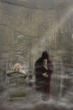 First Place - Ghost of Christmas Past by Michael Puff