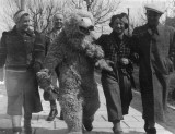 Honeymoon with bear -  April 1938