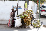 Coconut vendor and his bicycle
