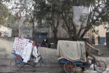 Some of the many forms of transport seen on Delhi streets