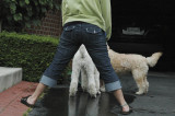 Tails