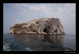 2495  Bass Rock