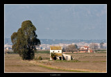 Delta de l'Ebre