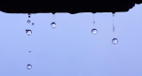 2610_DSF9607.jpg