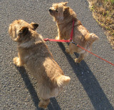 Tucker and Maggie. 6/1/08