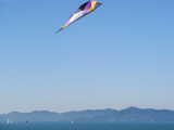Lone kite by the water - mImg_2545