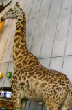 mImg_2674f.jpg