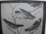 Close-up of Kindle 2's birds