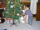 Kyle Decorating the Christmas tree