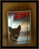 Dog Mirror - Fred