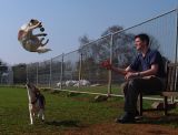 MC #103 - Competition; Springer Spaniel? - Frida Rohlen