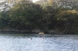 Swimming and Rowing over to the Landing Place - Peel (Wild Cat) Island 2001