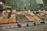 DSC_1175o.jpg