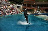 Shamu at Sea World, San Diego