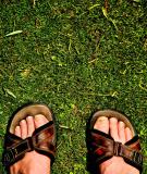 April 29- The Traveling Sandals