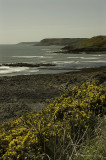 View towards Rotherslade bay