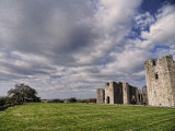 Raglan Castle and tree