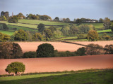 Countryside at Raglan