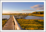 Aberlady Bay Nature Reserve