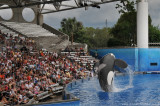 VS08 (098) Seaworld