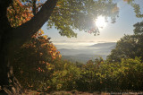 VS08 (243) Great Smoky Mountains NP