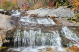 VS08 (254) Great Smoky Mountains NP