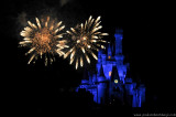 VS08 (468) Magic Kingdom