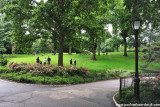 New York City (125) Central Park