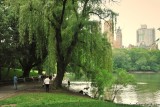 New York City (126) Central Park