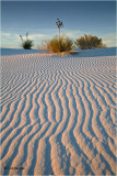  White Sands National Monument