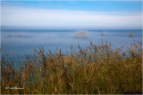  Oregon Coast