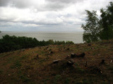 Cleared forest and the Curonian Lagoon