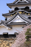 Front donjon facade and cherry blossom