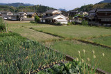 Rural outskirts of Uchiko