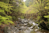 Kazura-bashi crossing the gorge
