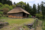 Chiiori and its forested surrounds