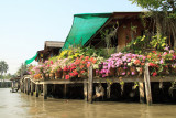 Flowers outside a canal-side house