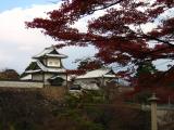 Autumn foliage near Ishikawa-mon